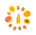 Apricot Kernels Oil Isolated, Apricot Pits Extraction, Fruit Seeds Infusion