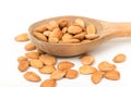 Apricot kernels Royalty Free Stock Photo