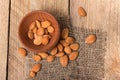 Apricot kernels Royalty Free Stock Photo