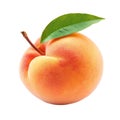 Apricot with leaf isolated on transparent background. Royalty Free Stock Photo