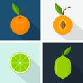 Apricot and lime. Colorful flat design. Fruits with shadow Royalty Free Stock Photo
