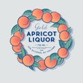 Apricot Liquor Label with Fruit Wreath. Apricot and Leaves in a Circle. Style Packaging Design.