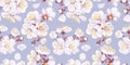 Seamless pattern with spring flowers of fruit trees on a light blue background. Royalty Free Stock Photo