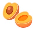 Apricot or peach icon. Fresh fruit on white background. Healthy food. Half peach with bone cut Royalty Free Stock Photo