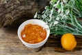 Apricot and peach jam in a small deep dish, sweet orange jam for dessert. Next to a whole fruit, apricots are marinated in syrup. Royalty Free Stock Photo