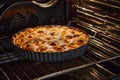 Apricot pie baked in an electric oven. French gourmet cuisine Royalty Free Stock Photo