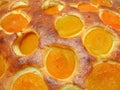 Apricot pie in detail Royalty Free Stock Photo