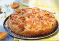 Apricot pie Royalty Free Stock Photo