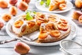 Apricot pie on a white plate, apricots, mint and powdered sugar on the kitchen table