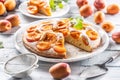 Apricot pie on a white plate, apricots, mint and powdered sugar on the kitchen table