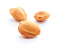 Apricot pips. Royalty Free Stock Photo