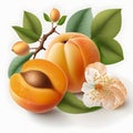 apricot realistic blank white background realistic two created with generative AI Royalty Free Stock Photo