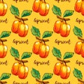Apricot repeating pattern, Hand-drawn apricots seamless pattern. Watercolor stylization, Eps10 Vector illustration