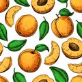 Apricot seamless pattern. Vector drawing . Hand drawn fruit and