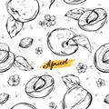 Apricot seamless apricot pattern. Vector drawing. Hand-drawn fruit. Royalty Free Stock Photo