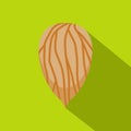 Apricot seed icon, flat style