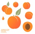 Apricot. Set