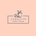 Apricot with a Slice Abstract Vector Sign, Symbol or Logo Template. Hand Drawn Fruits Sillhouette Sketch with Elegant