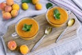 Apricot smoothie with yogurt Royalty Free Stock Photo