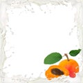 Apricot splash Royalty Free Stock Photo