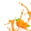 Apricot splash Royalty Free Stock Photo