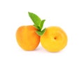 Apricot with a sprig of mint on a white background Royalty Free Stock Photo