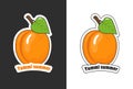 Apricot sticker with the inscription Yummi summer in cartoon style on white and graphite black background