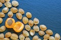 Apricot stones on dark rustic table. Copy space Royalty Free Stock Photo