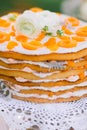 Apricot and tangerine layer cake Royalty Free Stock Photo