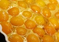 Apricot tart