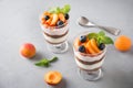 Apricot trifle, chocolate biscuit, layered dessert with fresh berry and gentle cream cheese on grey background. Selective focus Royalty Free Stock Photo