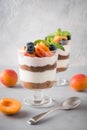 Apricot trifle, chocolate biscuit, layered dessert with fresh berry and gentle cream cheese on grey background. Selective focus Royalty Free Stock Photo