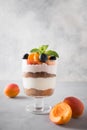 Apricot trifle, chocolate biscuit, layered dessert with fresh berry and gentle cream cheese on grey background. Selective focus Royalty Free Stock Photo