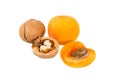 Apricot and Walnuts isolated. Apricots with nuts