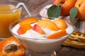 Apricot yoghurt and fresh juice closeup horizontal Royalty Free Stock Photo