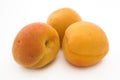 Apricotes