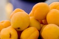 Apricots Royalty Free Stock Photo
