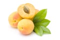 Apricots Royalty Free Stock Photo