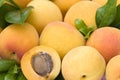 Apricots Royalty Free Stock Photo