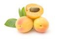 Apricots Royalty Free Stock Photo