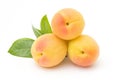 Apricots Royalty Free Stock Photo