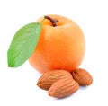 Apricots with almonds nuts Royalty Free Stock Photo