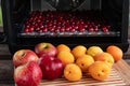 Apricots and apples. Apparatus for dehydration Royalty Free Stock Photo