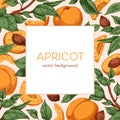 Apricots background. Exotic fresh ripe fruits and leaves frame, square-shaped card design with fruity plant. Tropical