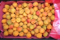 Apricots at bazaar Royalty Free Stock Photo