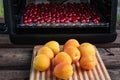 Apricots, cherries, and a dehydration machine Royalty Free Stock Photo