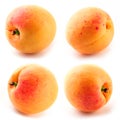 Apricots. Collection isolated on white Royalty Free Stock Photo