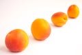 Apricots in Diagonal Line