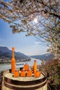 Apricots drinks on barrel against Spitz village with boat on Danube river, Austria