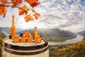 Apricots drinks on barrel against Spitz village with Danube river, Austria